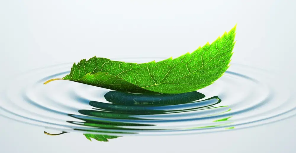 iStock-496438640-2 (1)